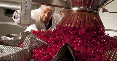 cherry factory