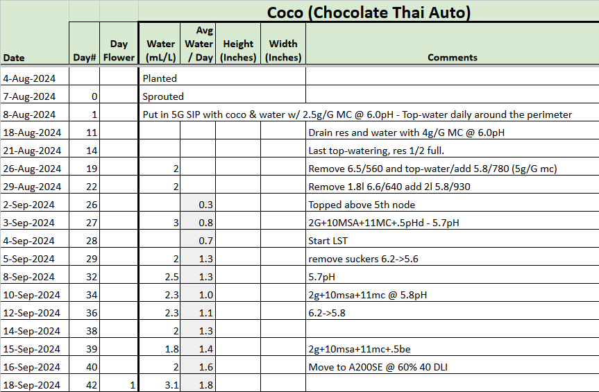 Chocolate Thai Auto tracker.png