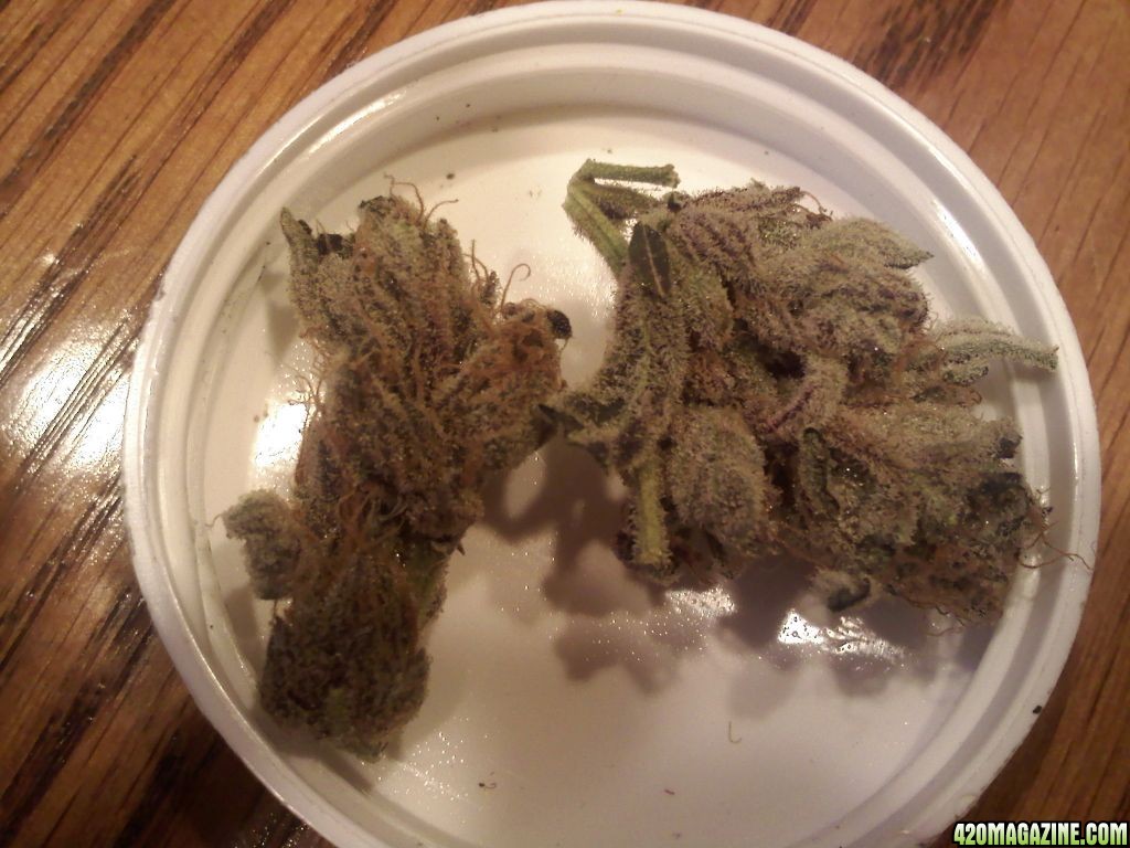 Chronic Nugglets... = )