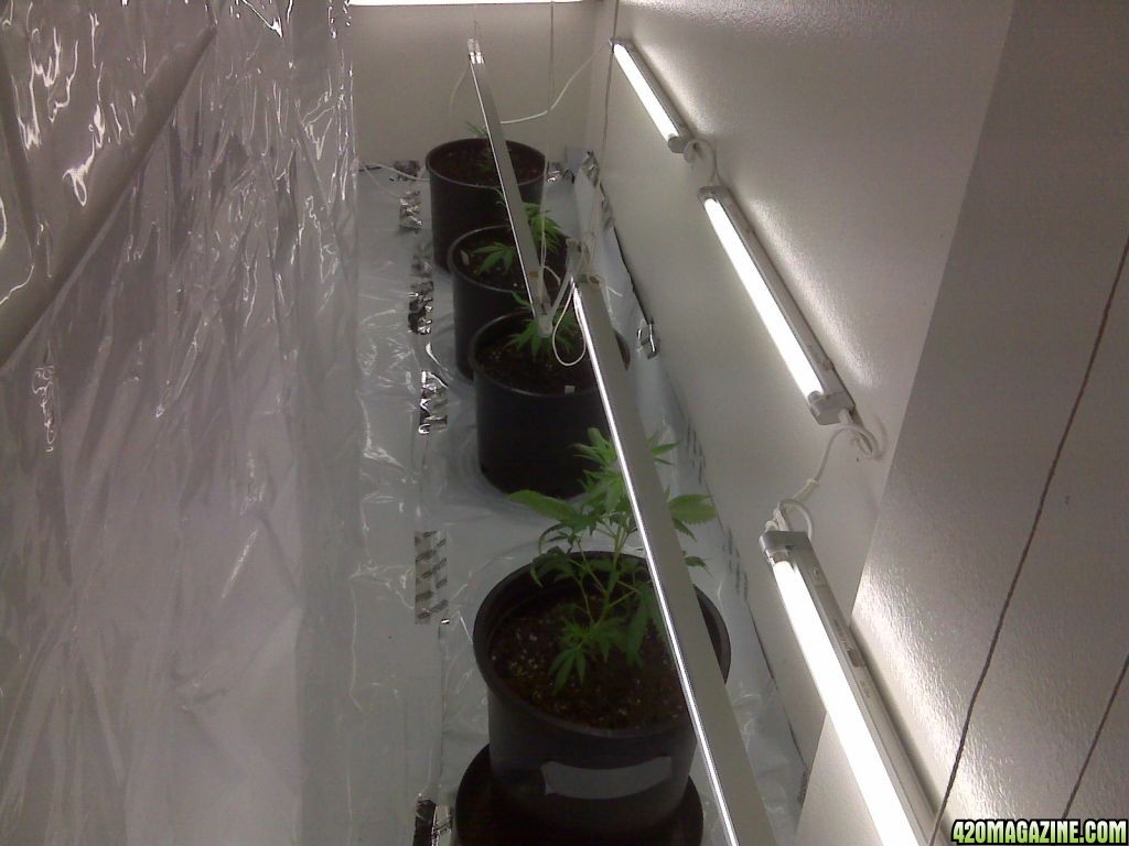 clone room day 1