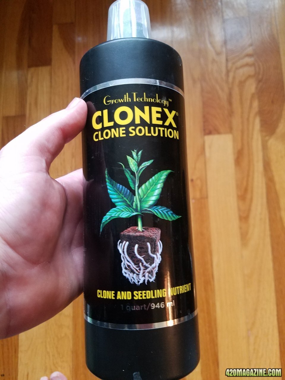 Clonex solution.jpg