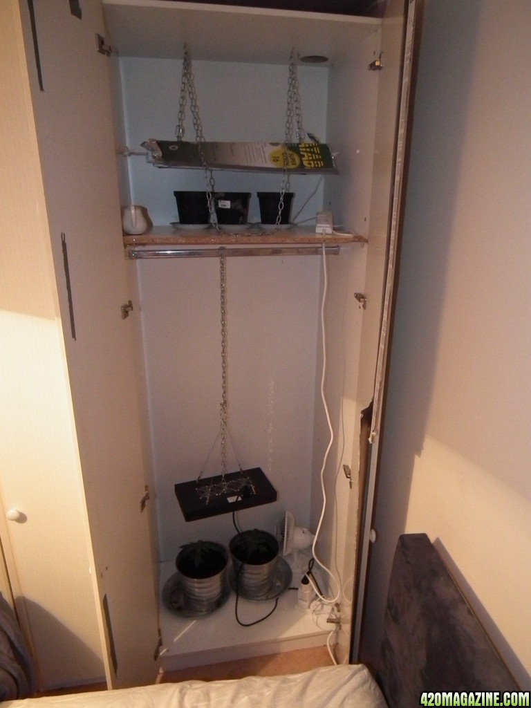 Closet Grow room