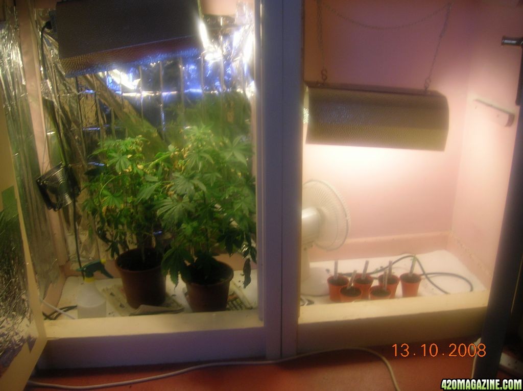 closet grow