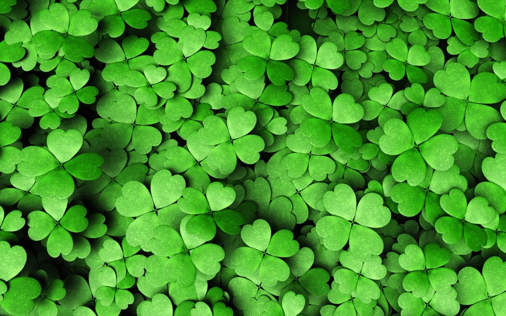 clover-cover-crops-1024x640.jpg