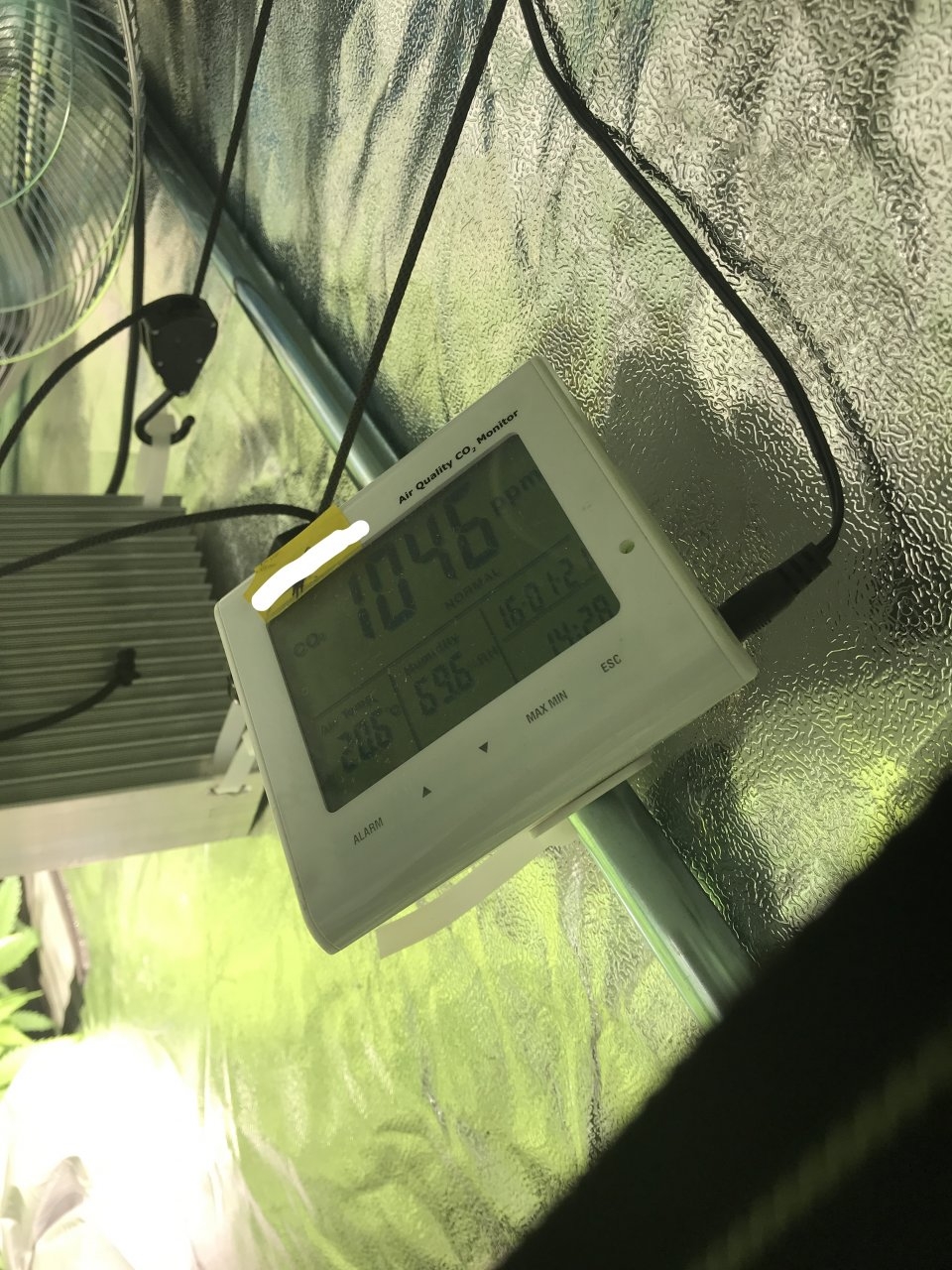 CO2 PPM right after lights go on.JPG