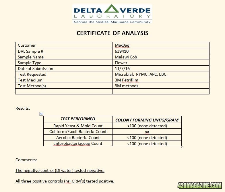 cob lab report