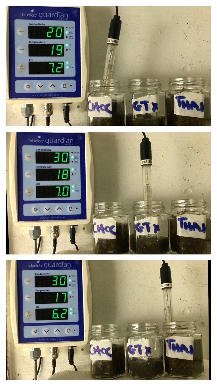 Cob ph test