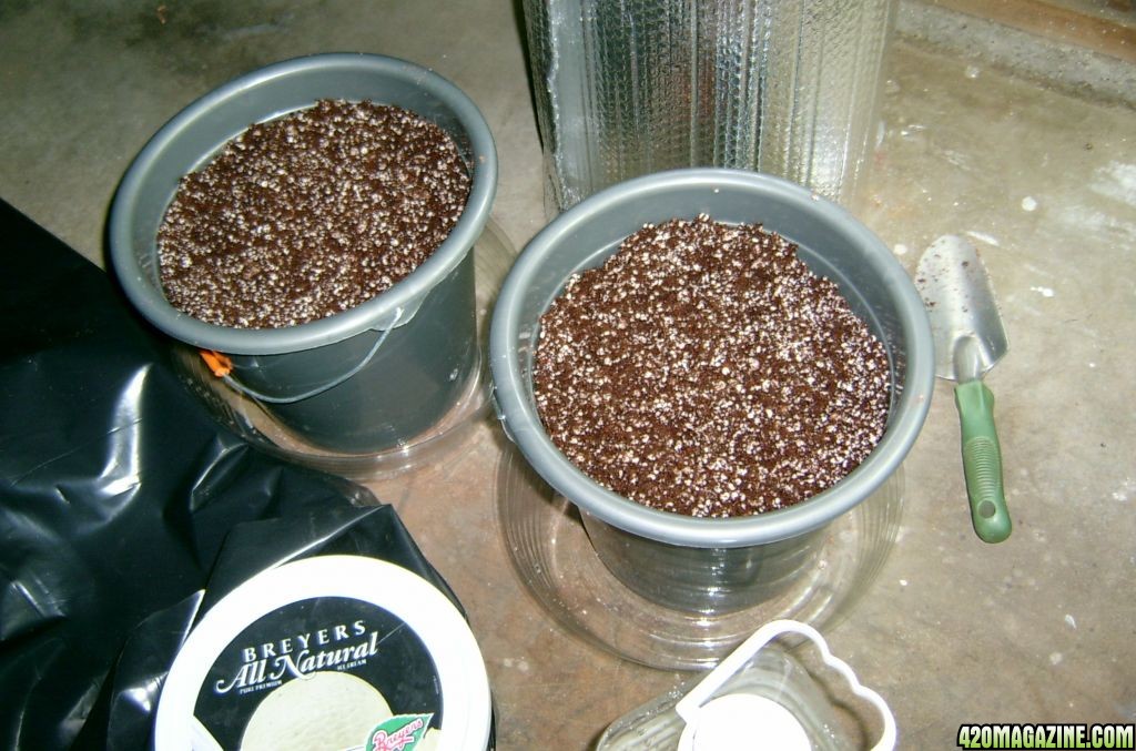 coco perlite hempy