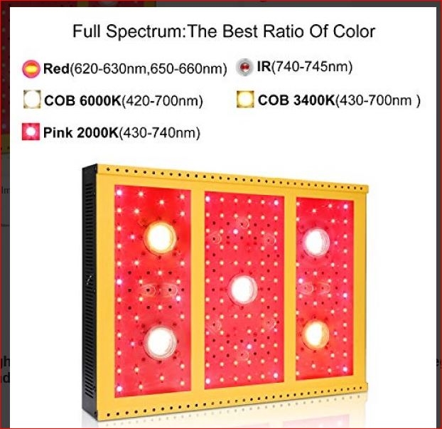 color ratio 2500w Tmlapy.JPG