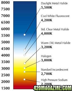 colorchart2