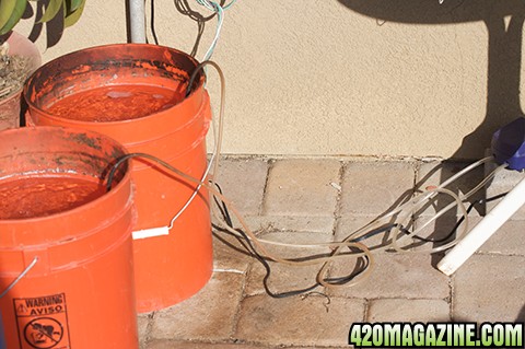 Compost Tea Bucket and Air Pump