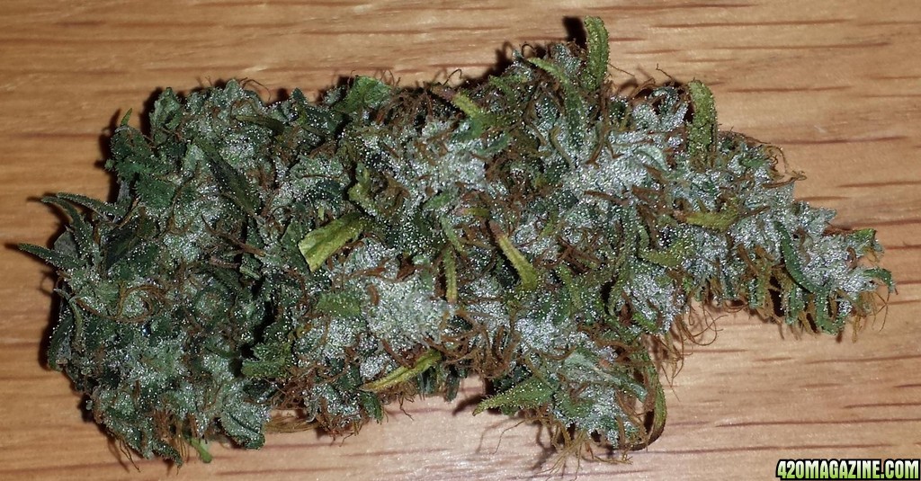 Congo dried not cured