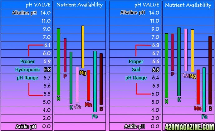 coreys_ph_chart.jpg.3063b9fceb9452e349fdf6d29d82714d.jpg