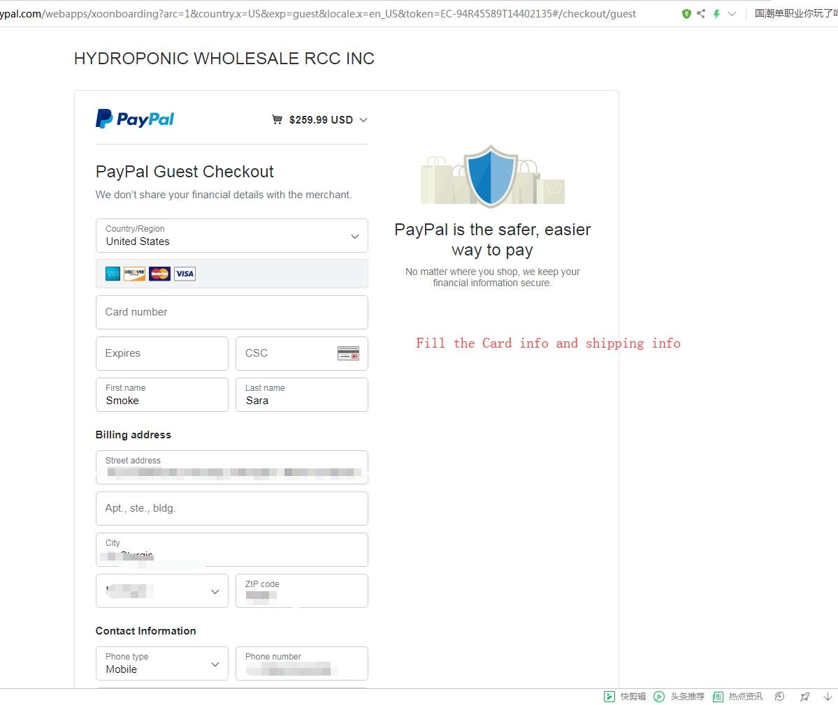 credit card check out on paypal - step 5.jpg