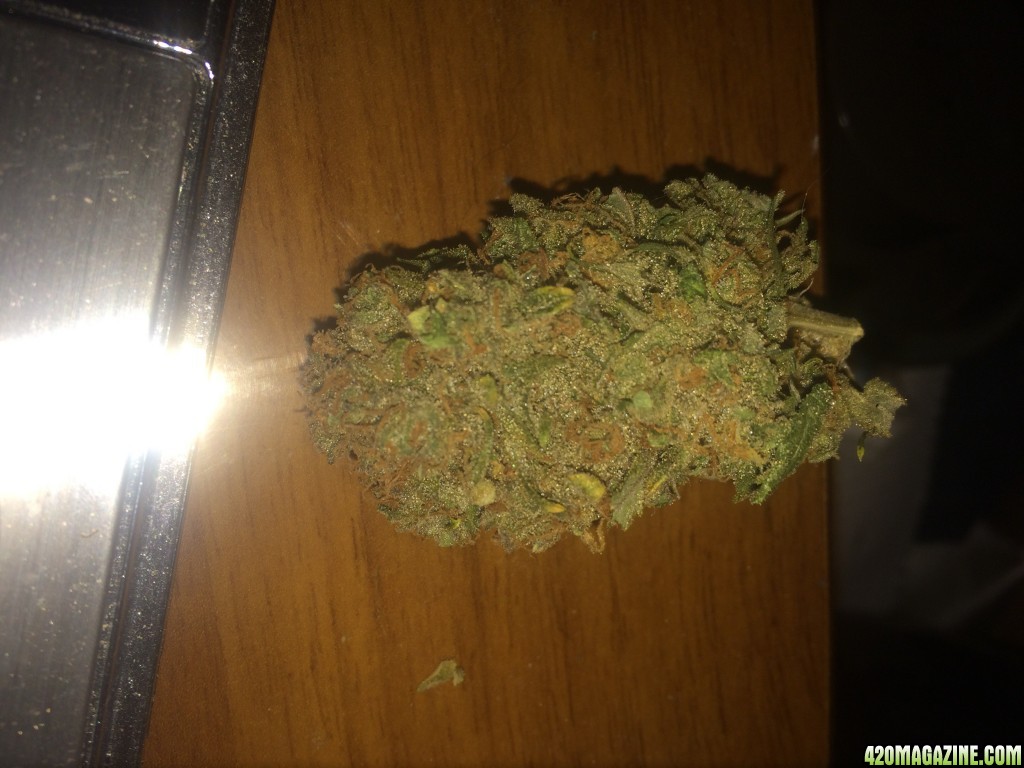 Critical sensi star