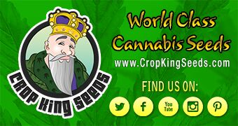 Crop King Seeds