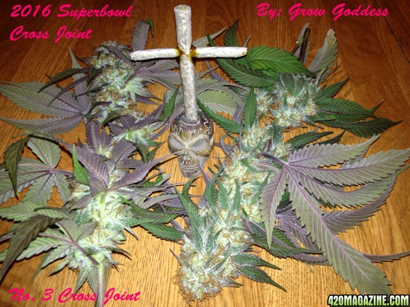 Cross Joint Super Bowl 2016