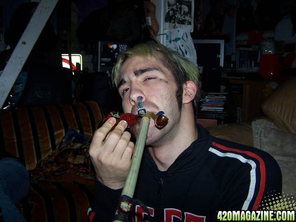 Crossbreed smoking weed