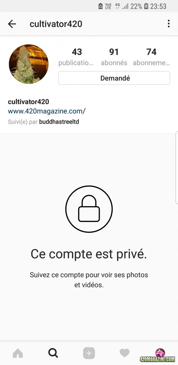 CultInsta