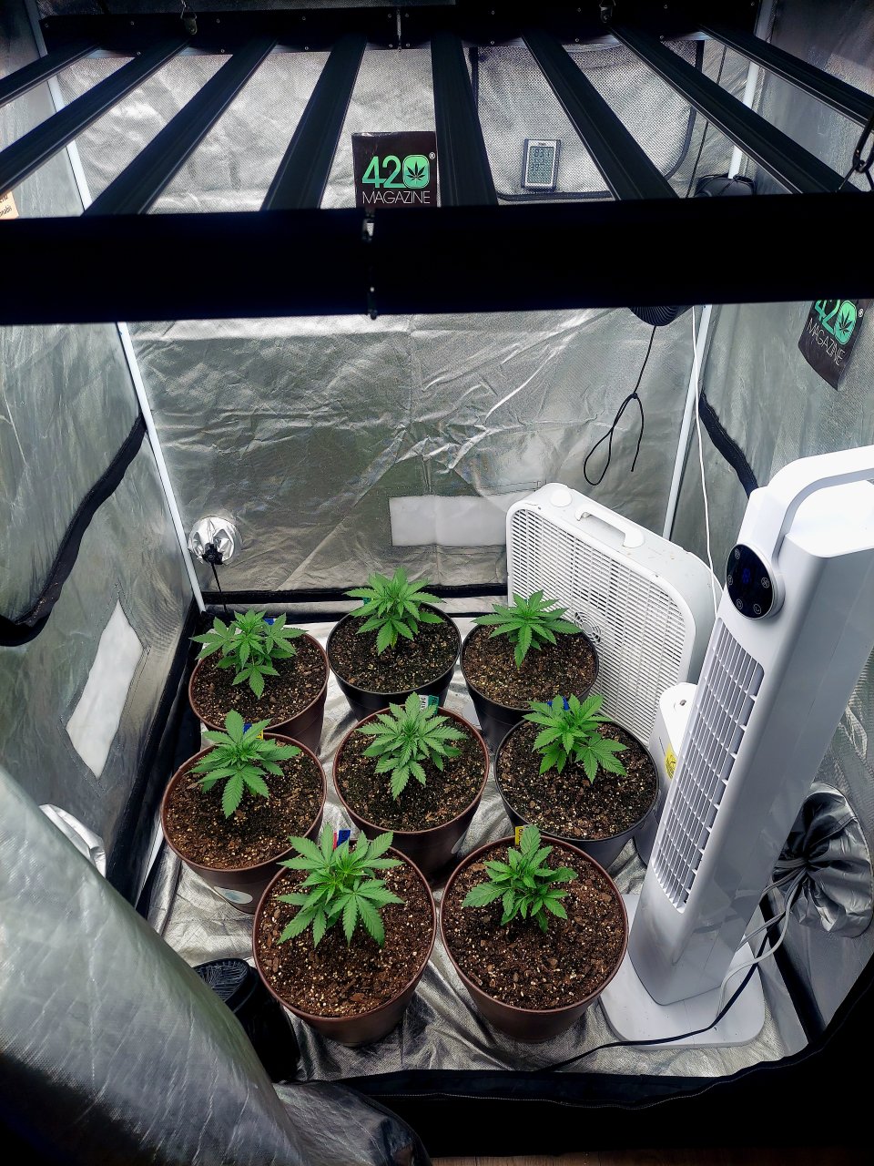 Cultiuana CT-720 Grow Journals