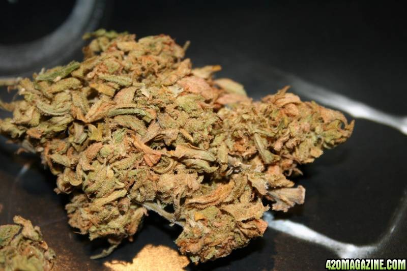 cured buds