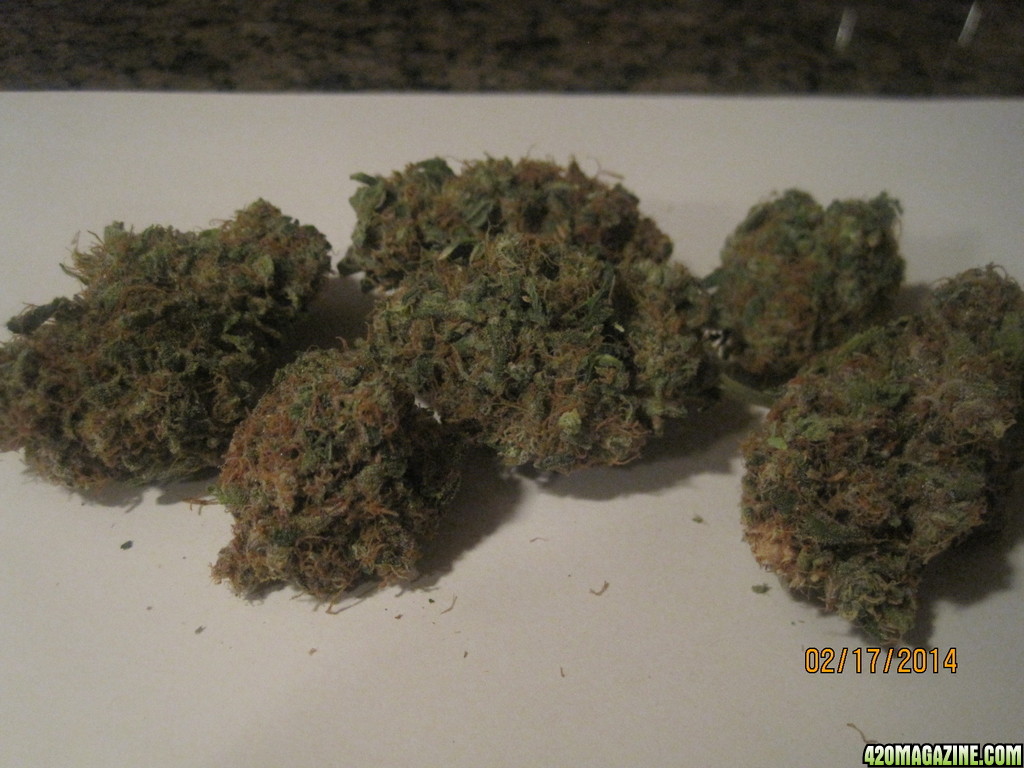 Cured White Widow