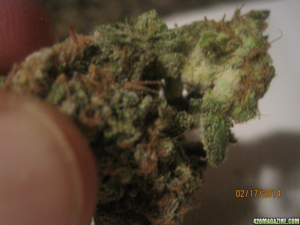 Cured White Widow