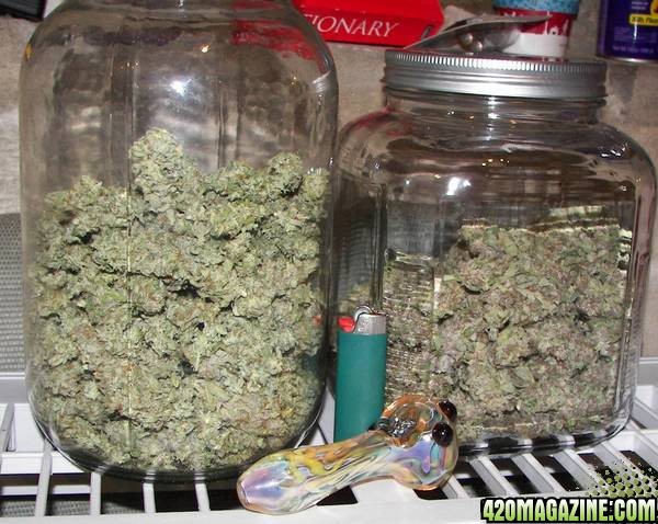 curing buds