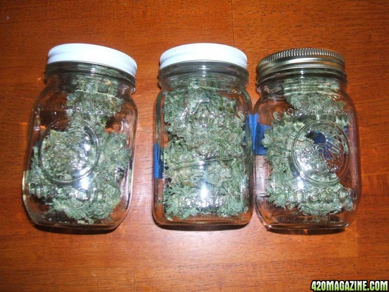 D2_in_jars