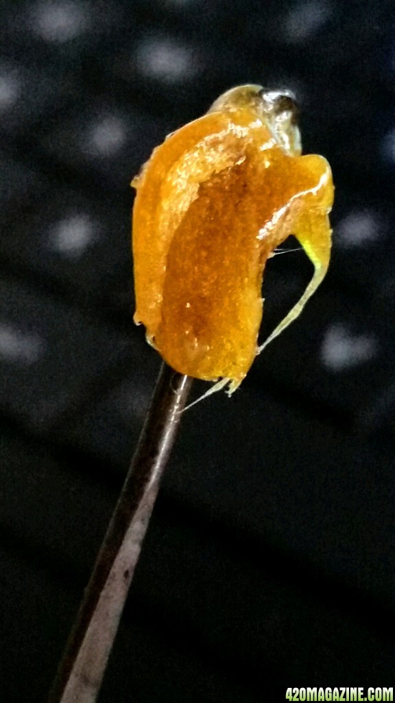 dabs3