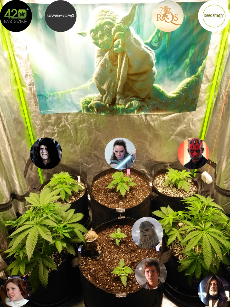 Dagobah Frost Forest - Group Photo