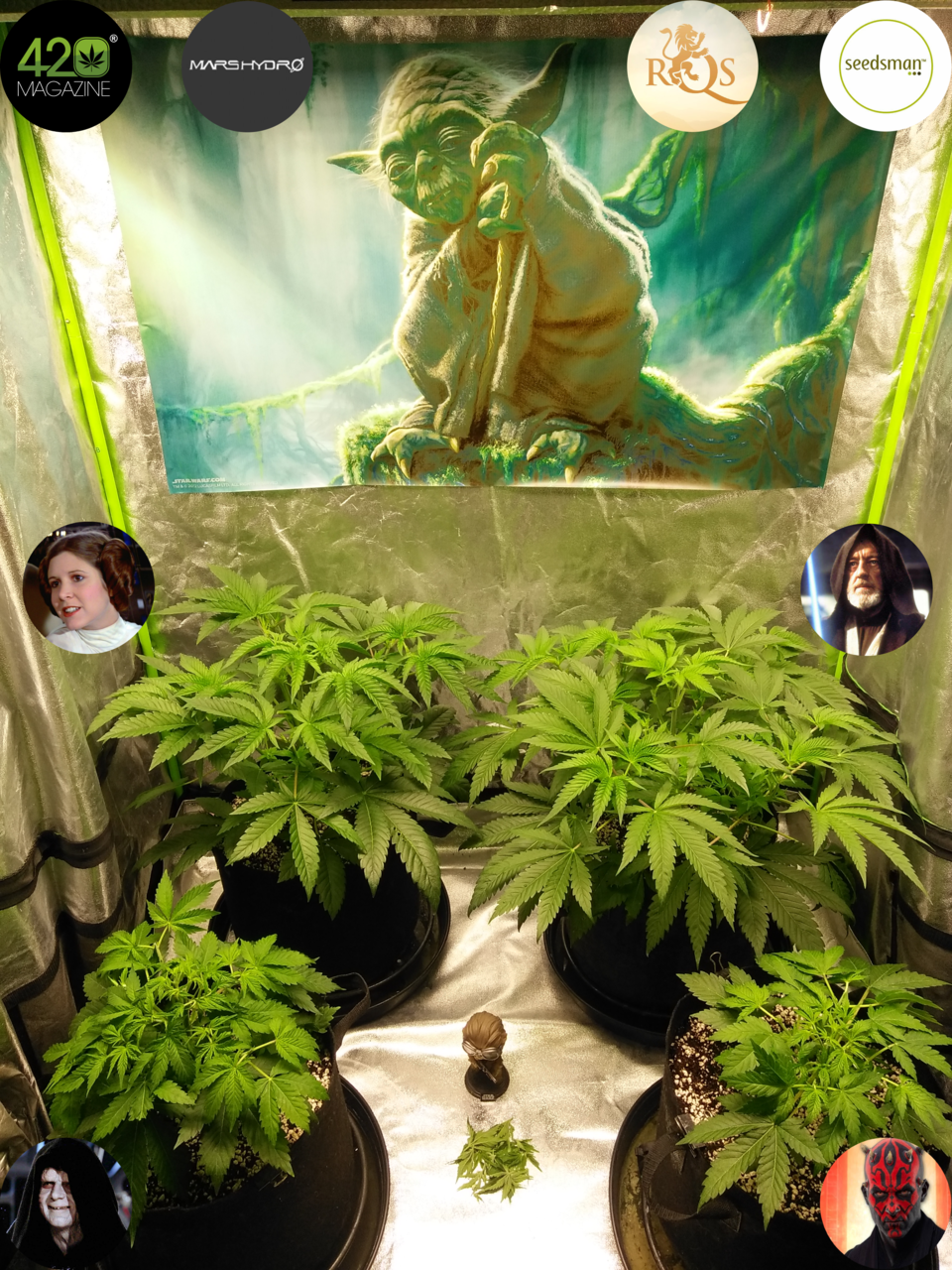 Dagobah Frost Forest - Group Photo