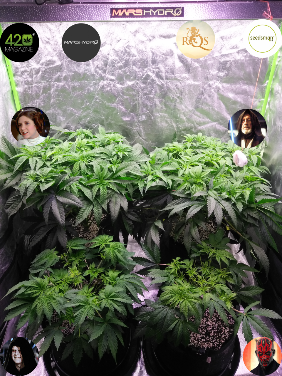 Dagobah Frost Forest - Group Photo