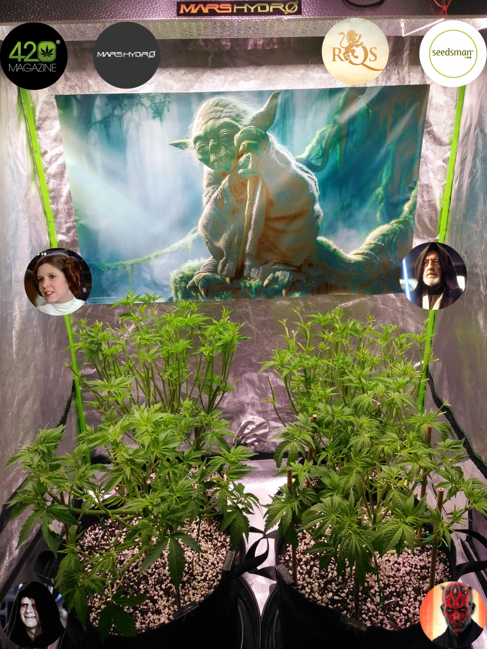 Dagobah Frost Forest - Group Photo