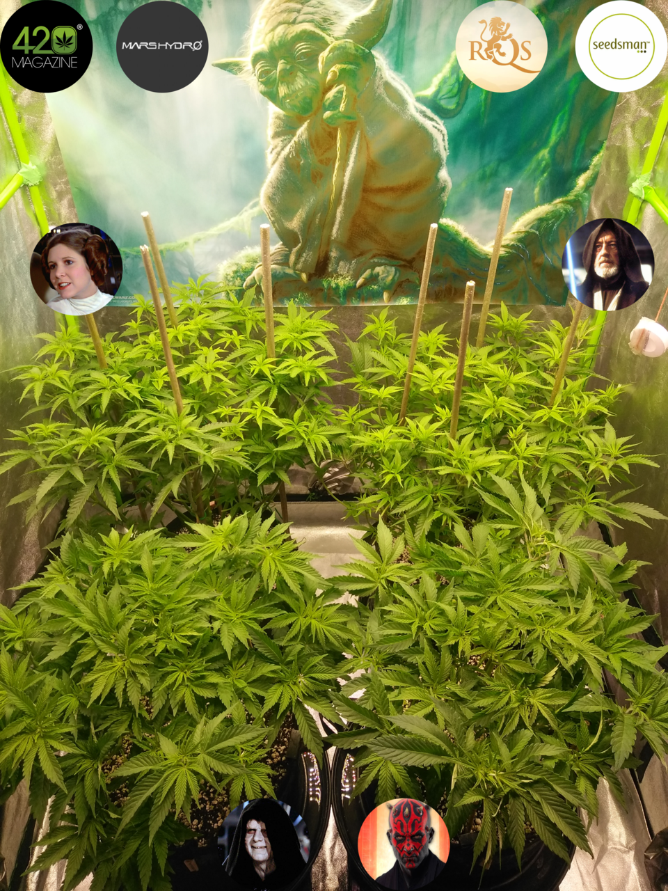 Dagobah Frost Forest - Group Photo