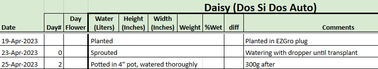 Daisy Tracker 20230425.png