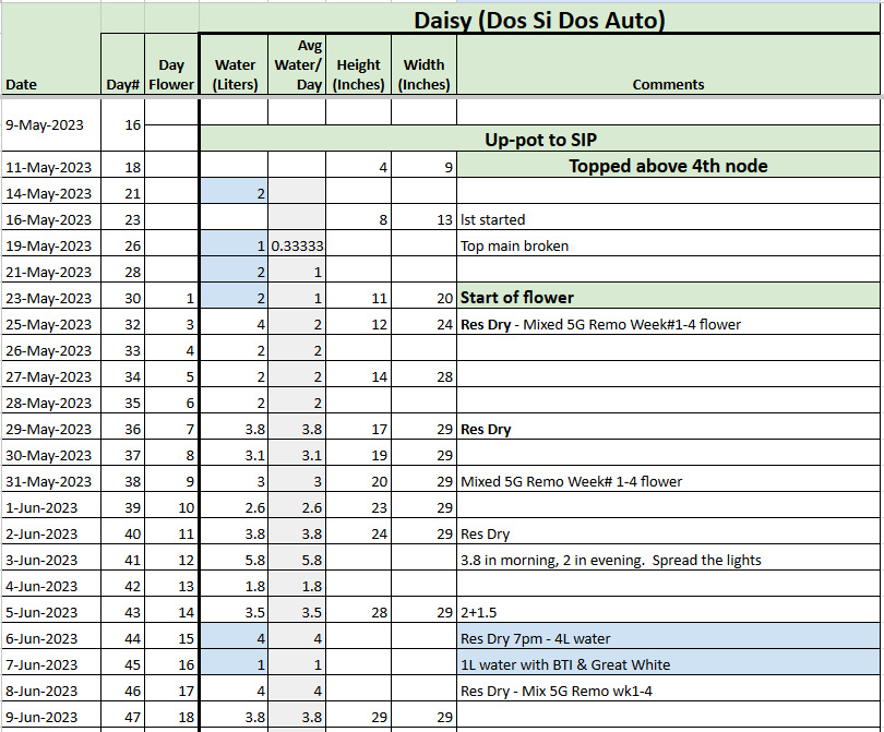 Daisy Tracker 20230609.png