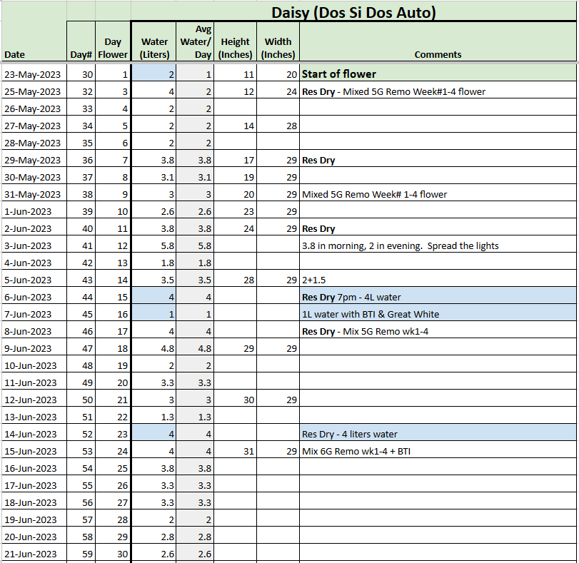 Daisy Tracker 20230621.png