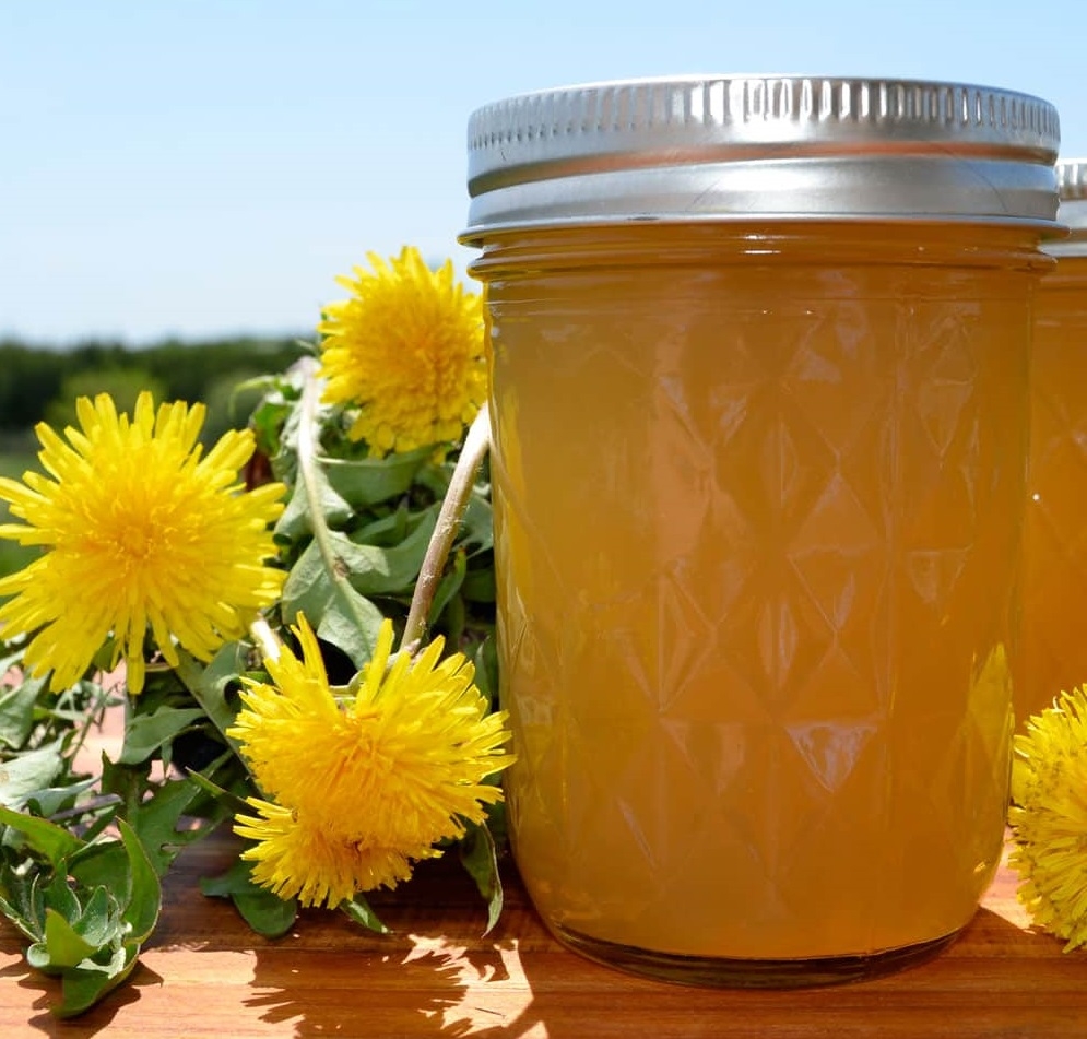 dandelion-jelly-recipe.jpg