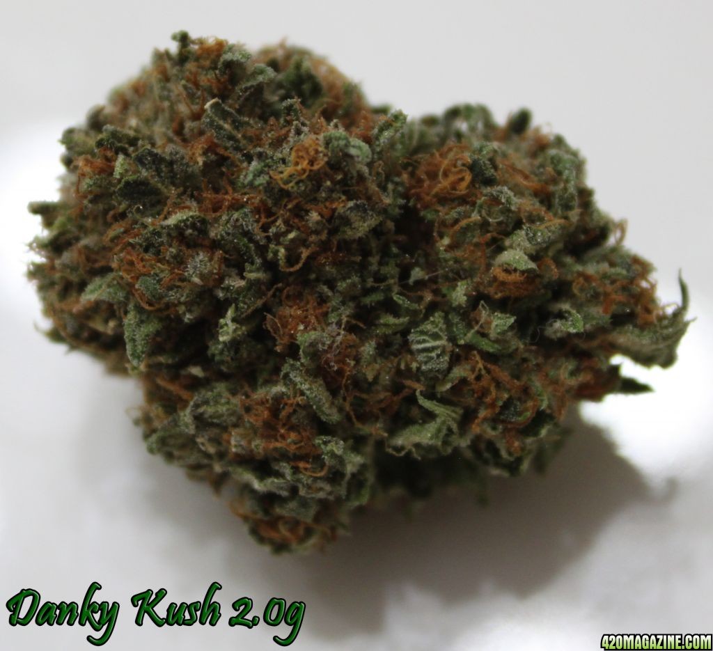 Danky Kush