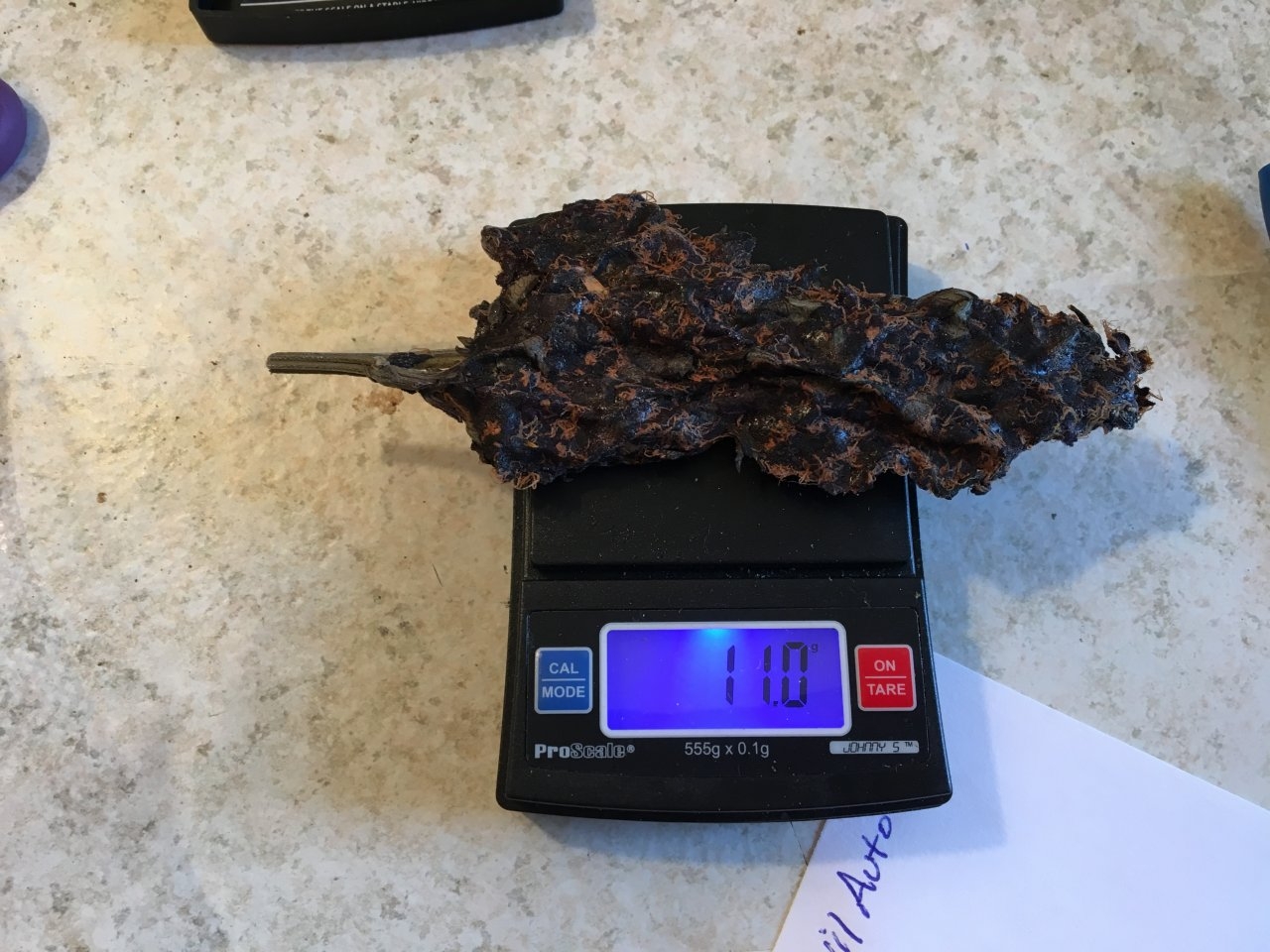 Dark Devil Auto apical cola