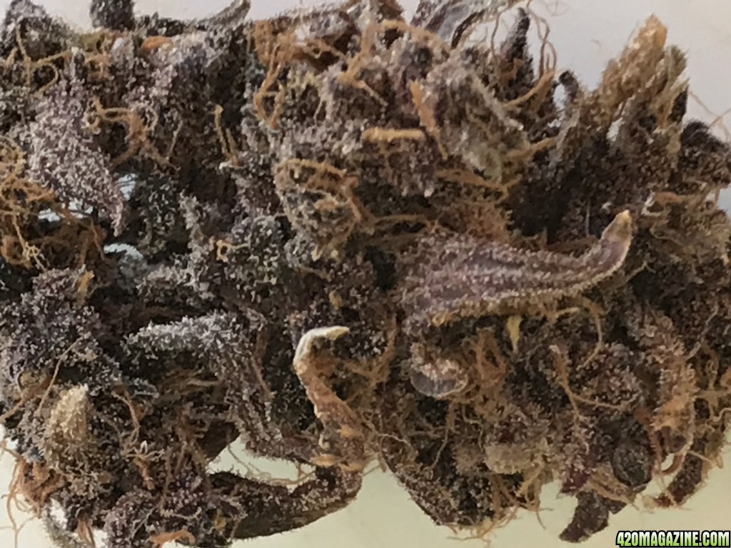 Dark Devil Nug Close-up