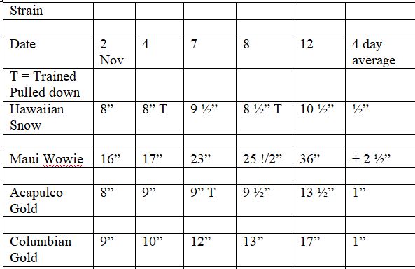 Day 16 of 57 Heights average 12 Nov.JPG