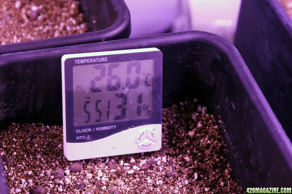 Day 7 - 10 plant grow - 2400 watt LED