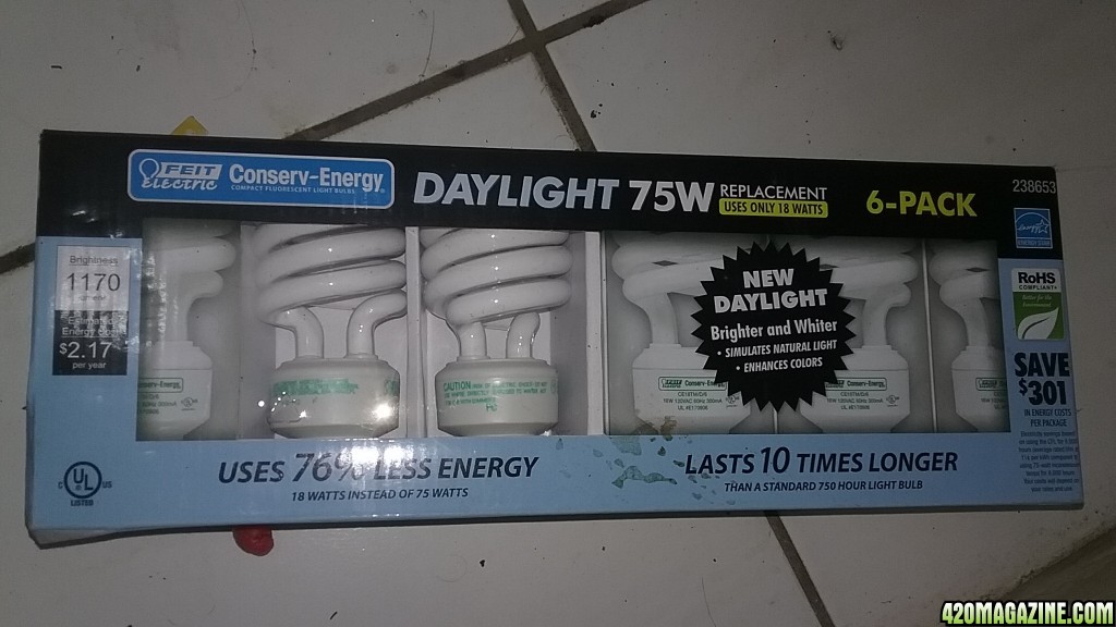 Daylight bulbs