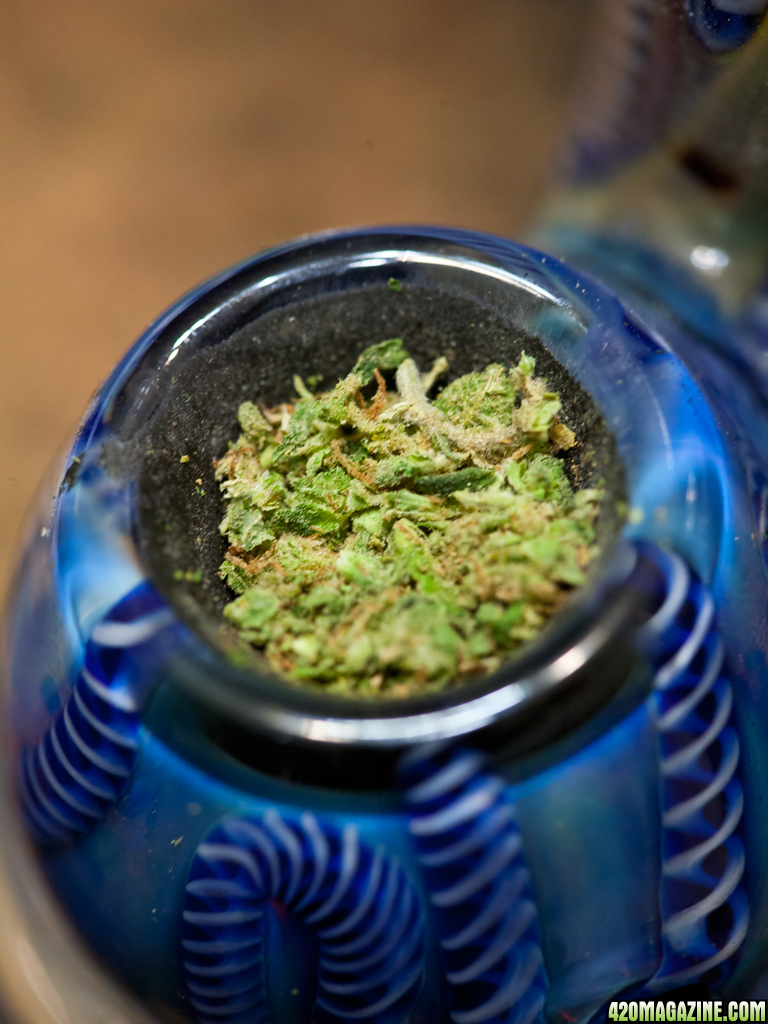 Deadhead OG Sample Bowl