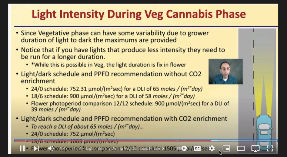 DeBacco Light Intensity during Veg.png