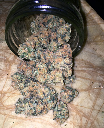 dense-pgr-orange-nugs-spilling-from-glass-jar-sm.jpg