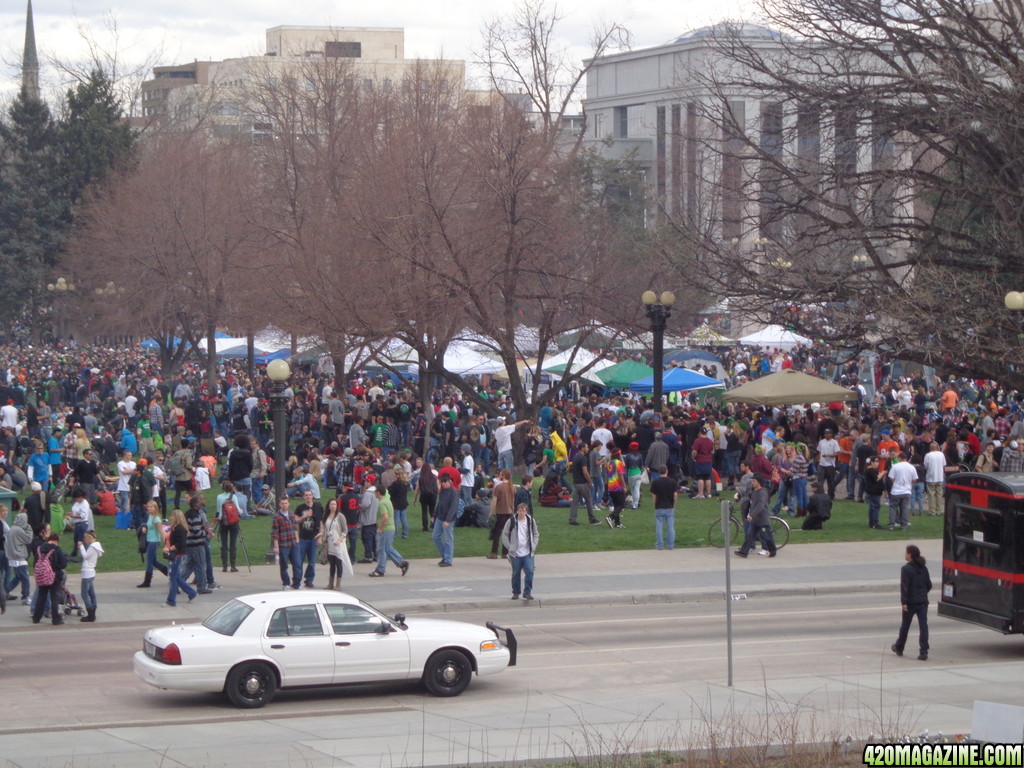 Denver_420_2013_3