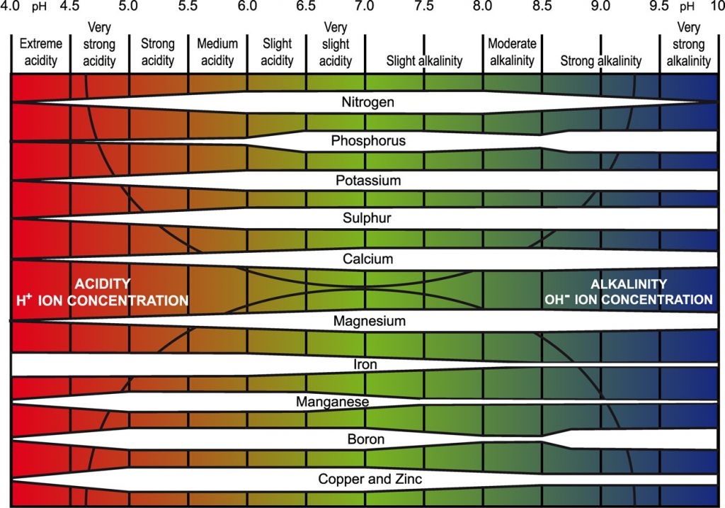 detailed-Truog-pH-chart-1024x717.jpg